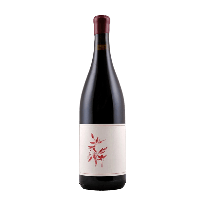 Arnot-Roberts Que Vineyard Sonoma Coast 2024
